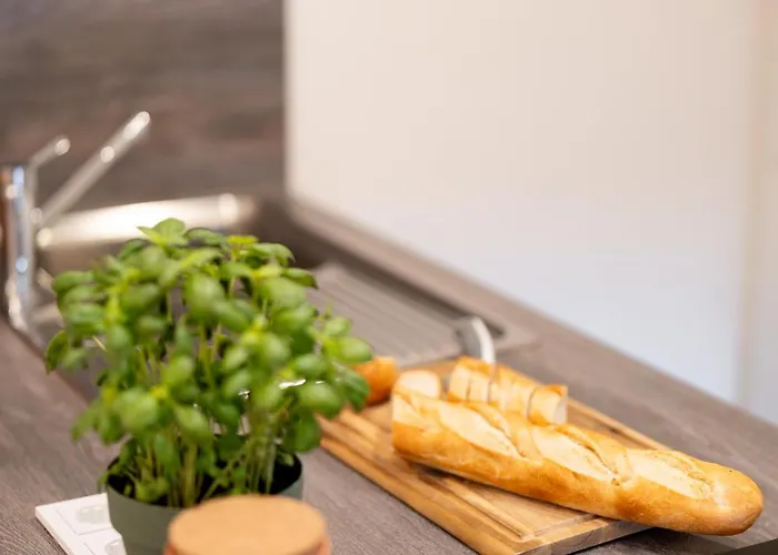 Lexapartments Luxus Apartment-zentral In Altstadt-65-80qm